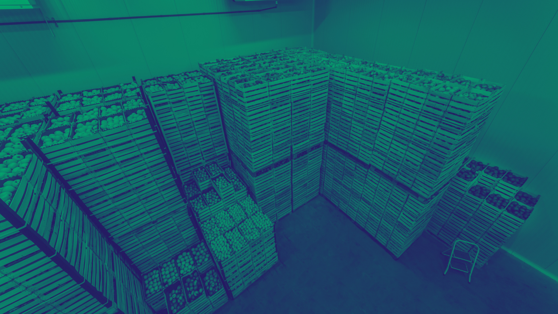 Crates of produce stacked in a cold storage warehouse, illustrating supply chain traceability in food distribution.